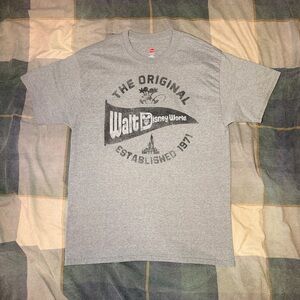 Hanes Gray Disney World Men's T-Shirt